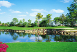 Grey Oaks Naples Florida Luxury Real Estate